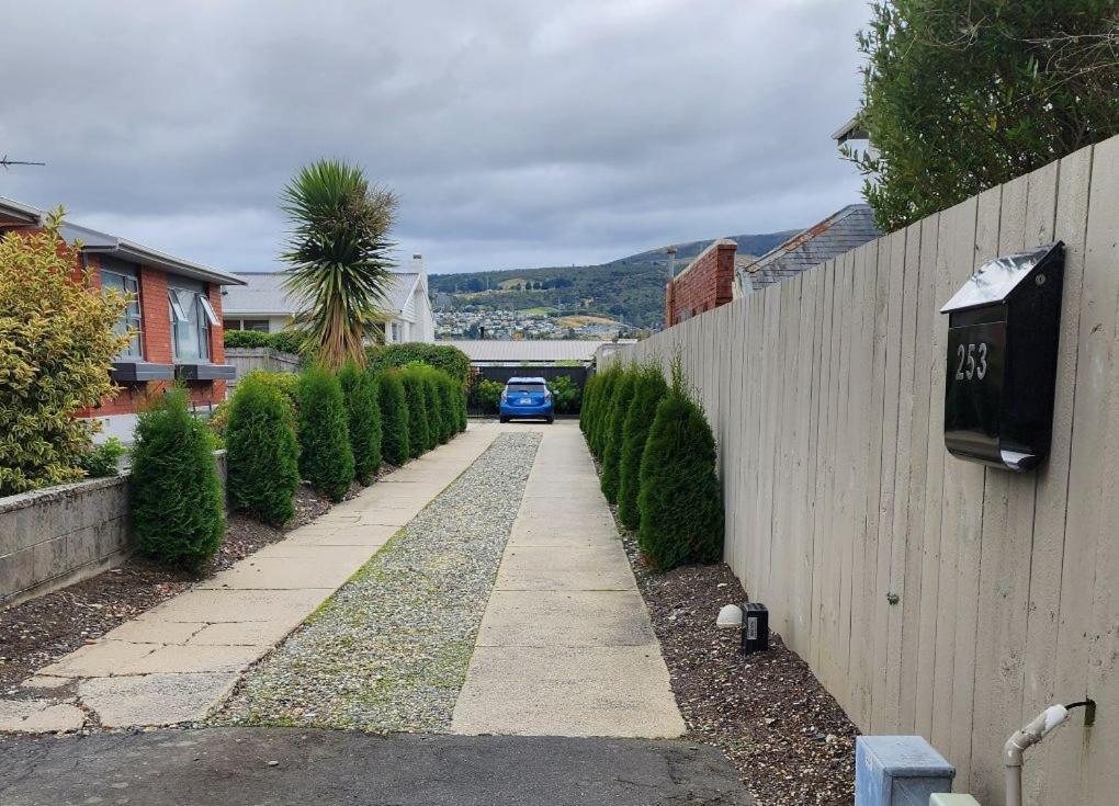 253 On Highgate Apartamento Dunedin Exterior foto