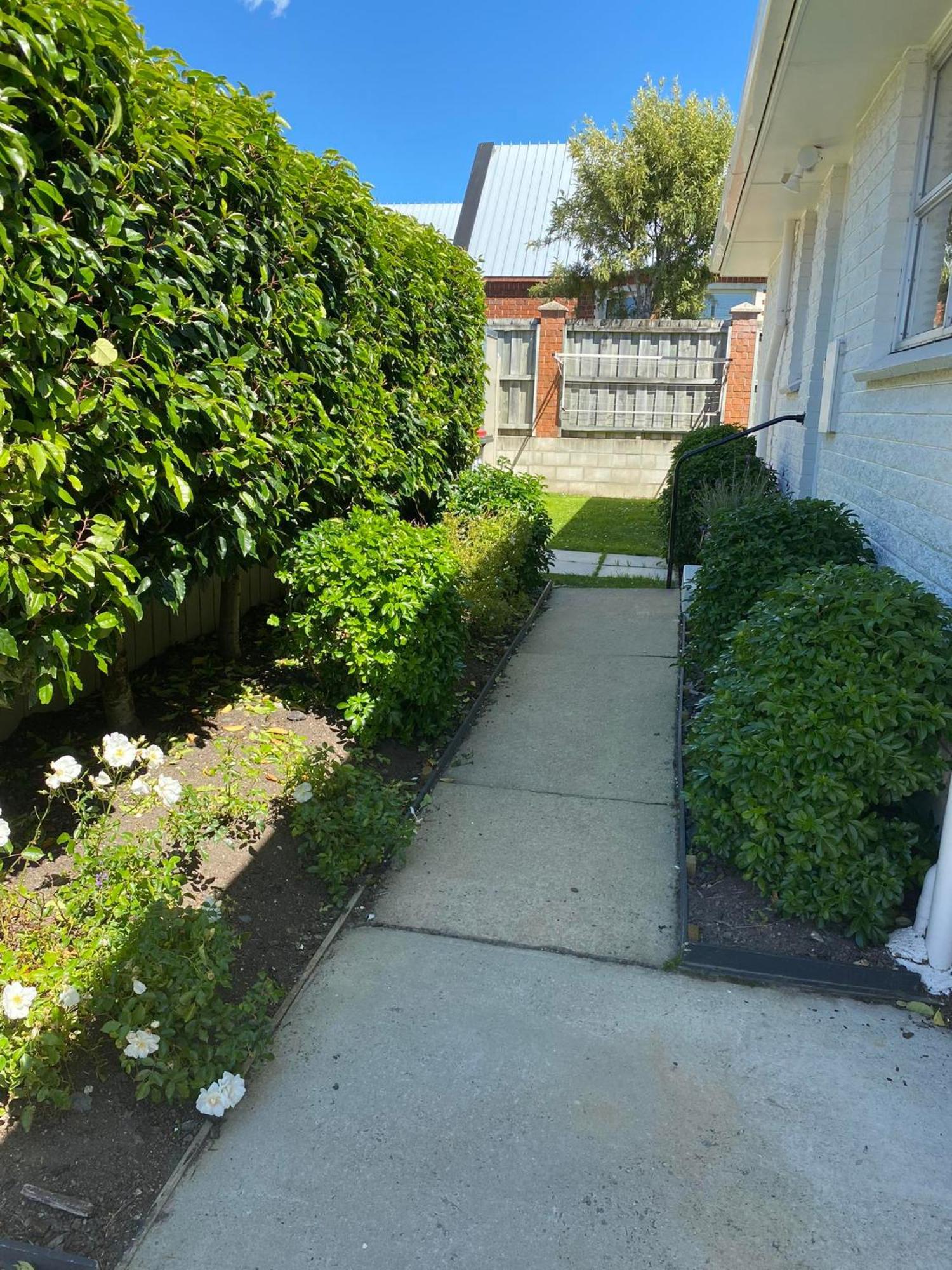 253 On Highgate Apartamento Dunedin Exterior foto